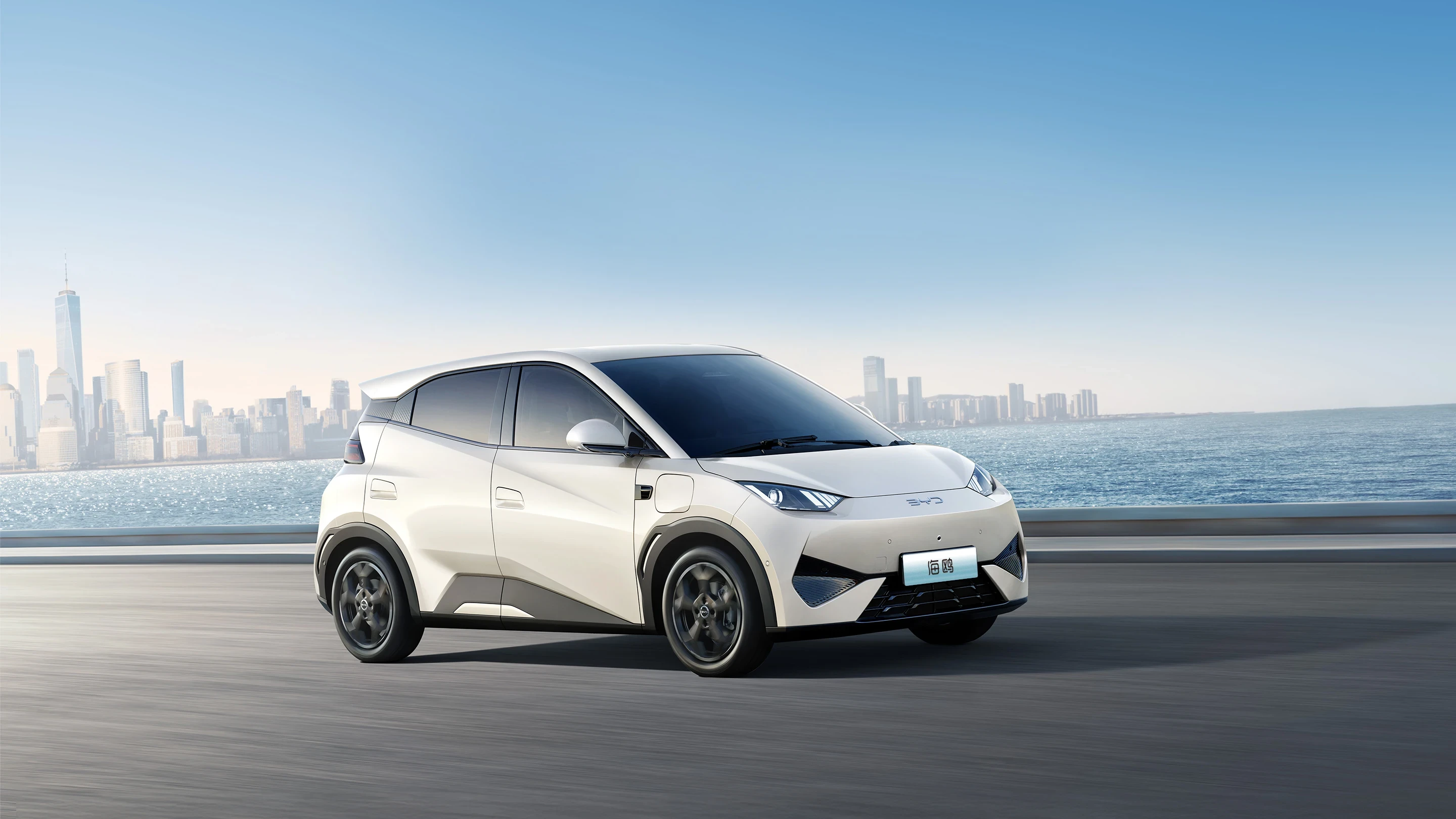 尊龙凯时 SEAGULL