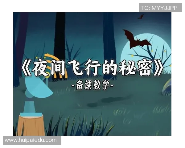 揭秘黄静成功之道探索CSGO背后的秘密与策略 揭秘黄静成功之道探索CSGO背后的秘密与策略